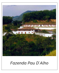 Fazenda_PauDalho